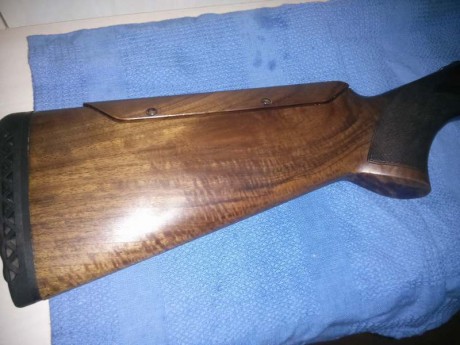 La encontré!!!!!    BROWNING ULTRA XS SPORTER PORTED (fotos al final del post)


saludos

estoy por hacerme 152