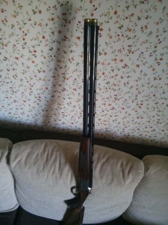 La encontré!!!!!    BROWNING ULTRA XS SPORTER PORTED (fotos al final del post)


saludos

estoy por hacerme 160