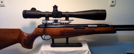 Hola compañeros!!

Despues de un año y medio tirando con un Leapers 3-9x40, estoy por cambiar de visor 140