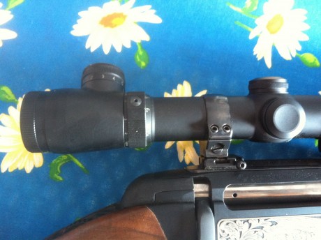 Vendo visor de gama alta Leupold VX-L de 3, 5-10x50 QDMA, con retícula iluminada dúplex. Estado impecable. 12