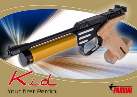 Hola compañeros, me gustaría que me guiarais sobre eleccion de pistola aire para mi hija de 12 años, que 10