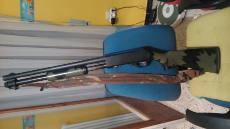 Vendo fabarm brescia de corredera en color camo y recamara 76 mm.
Buen estado general.
Precio 280 euros 01