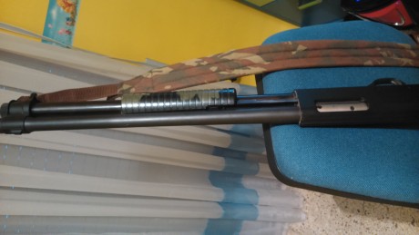 Vendo fabarm brescia de corredera en color camo y recamara 76 mm.
Buen estado general.
Precio 280 euros 00