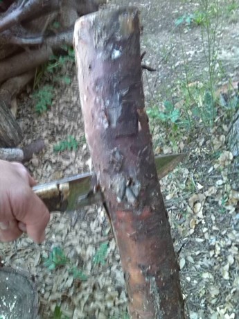 Os presento este cuchillo y la prueba realizada a esta pieza del artesano madrileño Guillermo Garcia (Garcimonte). 51