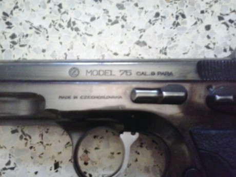 Hola, en la subasta de la GC me han adjudicado estas dos armas y solo puedo coger una con la F. ¿Cual 152