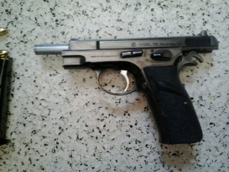 Hola, en la subasta de la GC me han adjudicado estas dos armas y solo puedo coger una con la F. ¿Cual 160