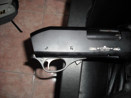 buenas noches a todos.aprovechando que somos varios en este foro los poseedores de una stiger tactical 40