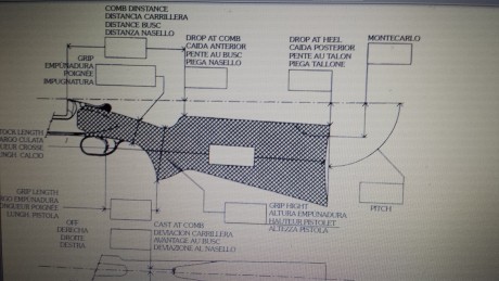 Ando buscando una escopeta de plato hace un tiempo, y solo el otro día fui a ver una Lamber que anunciaban. 80