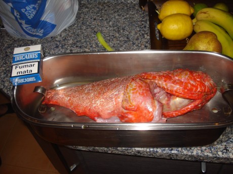 Este es un llamamiento para los foreros de Cantabria que no tenemos el gusto de conocernos en persona, 31