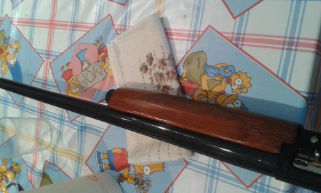 buenas , quiero comprar una benelli del 12 y me gustaria saber alguna tienda online que hallais comprado 81