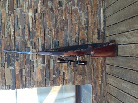 ¿Nos animamos a mostrar blancos de nuestros rifles de caza habituales? Con la munición que habitualmente 81