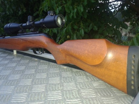 Hace poco os pregunte sobre una carabina para un novatillo, y ahora ya me he decidido por unos modelos 62
