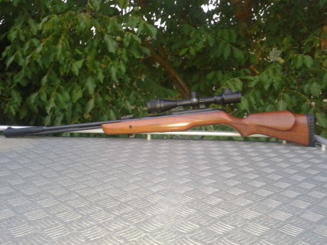 Hace poco os pregunte sobre una carabina para un novatillo, y ahora ya me he decidido por unos modelos 61