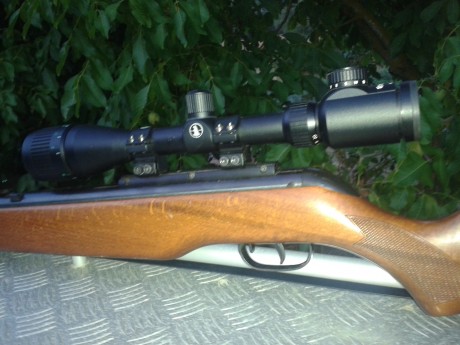 Hace poco os pregunte sobre una carabina para un novatillo, y ahora ya me he decidido por unos modelos 60