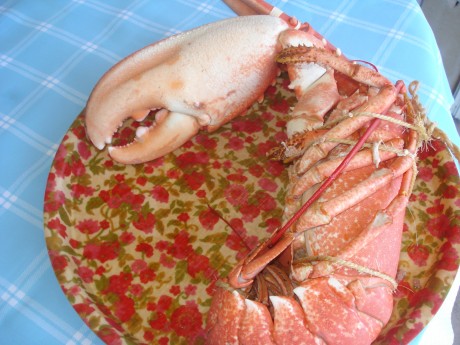 Este es un llamamiento para los foreros de Cantabria que no tenemos el gusto de conocernos en persona, 10