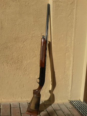 Hola compañeros, buenas tardes:

Un familiar acaba de regalarme una escopeta Beretta, que he aceptado 142