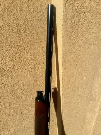 Hola compañeros, buenas tardes:

Un familiar acaba de regalarme una escopeta Beretta, que he aceptado 152
