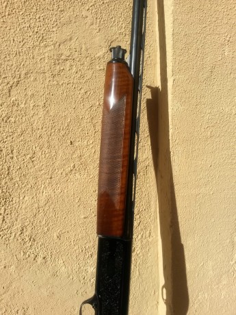 Hola compañeros, buenas tardes:

Un familiar acaba de regalarme una escopeta Beretta, que he aceptado 151