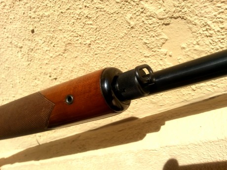 Hola compañeros, buenas tardes:

Un familiar acaba de regalarme una escopeta Beretta, que he aceptado 160
