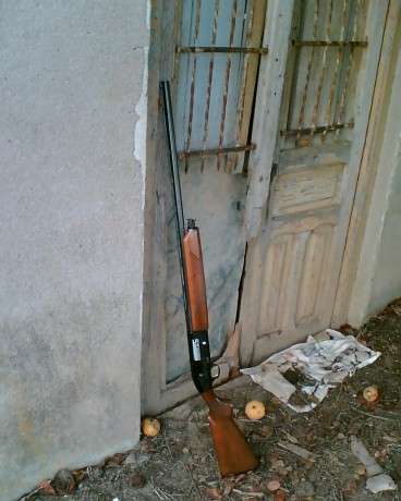 Hola compañeros, buenas tardes:

Un familiar acaba de regalarme una escopeta Beretta, que he aceptado 170