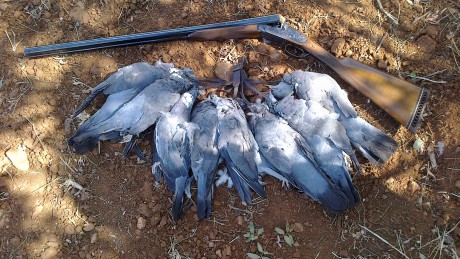 Bueno los cazadores de la comunidad valenciana ya estamos listos para arrancar el motor de la media veda 140