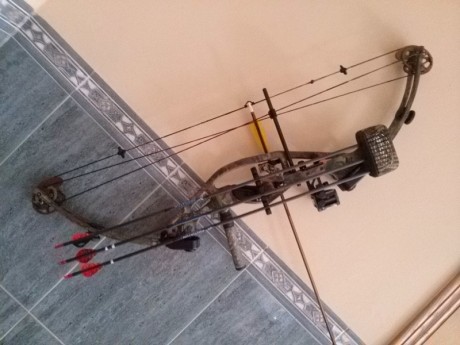 hola
vendo arco de poleas Hoyt Magtech , equipado, con 10 flechas, disparador, funda, y cuerda nueva.
potencia 01