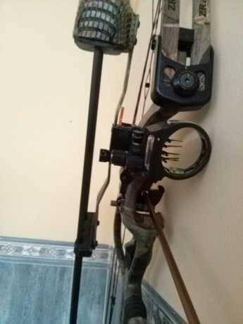 hola
vendo arco de poleas Hoyt Magtech , equipado, con 10 flechas, disparador, funda, y cuerda nueva.
potencia 00