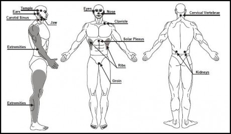 Durante combate cuerpo a cuerpo, los escoltas se esfuerzan por atacar la áreas accesibles del cuerpo de 00