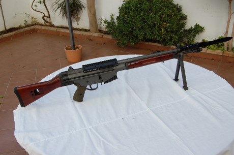 Buenas tardes, aprovechando las vacaciones he hecho lagunas fotos a mi colección de "españoles" 40