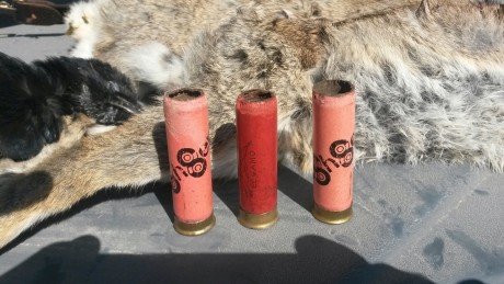 Bueno los cazadores de la comunidad valenciana ya estamos listos para arrancar el motor de la media veda 81