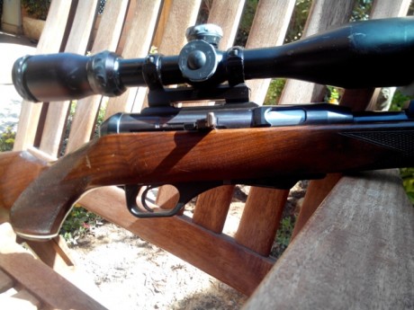 Hola compañeros un amigo vende esta maquina, es un HK 300 en 22 magnum, montura original HK y visor , 01