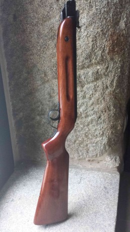 Antes de nada saludar a todos los miembros del foro.
Estoy reacondicionando una vieja carabina que me 22