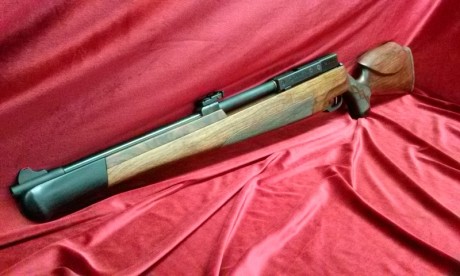 Señores,
Tengo el placer de avisaros que desde hoy, tengo la licencia para fabricar armas de aire comprimido.
un 132