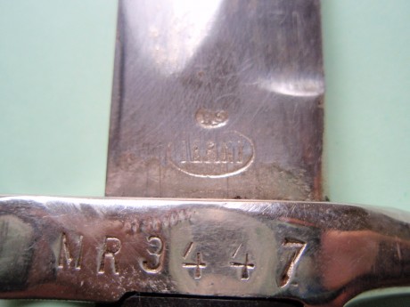 Hola

Tengo una bayoneta y un machete, herencia de mi padre que junto con otras chatarrillas las recogió 00