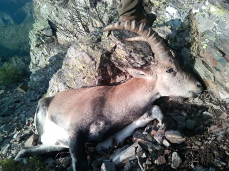 Este es un llamamiento para los foreros de Cantabria que no tenemos el gusto de conocernos en persona, 20