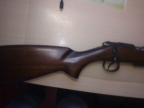 Hola me gustaría que me comentarais que tal carabina es , si es fiable y precisa esta carabina ceska 513 52