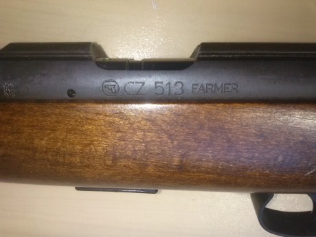 Hola me gustaría que me comentarais que tal carabina es , si es fiable y precisa esta carabina ceska 513 61