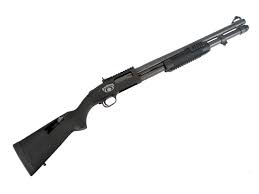 Como ya había posteado en otro mensaje iba a adquirir una Mossberg corredera del cal. 20 que es una 500. 80