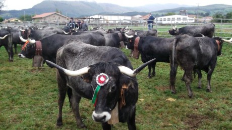 Este es un llamamiento para los foreros de Cantabria que no tenemos el gusto de conocernos en persona, 100
