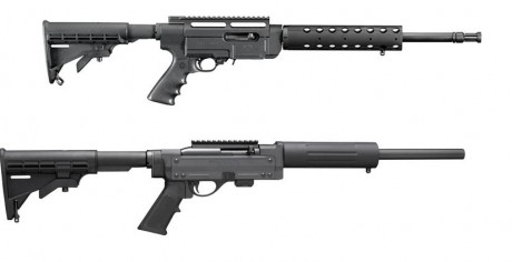 Buenos días, ¿alguien conoce estas carabinas semiautomaticas y podria indicarme cual seria la mas recomendable?, 00