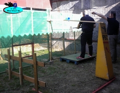 A quien pueda interesar.

Más información en:

- https://www.wirtexsports.com/