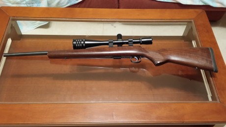 Vendo Carabina CZ 453 Varmint cañon pesado en perfecto estado, gatillo ajustable y al pelo. Solo Carabina, 02