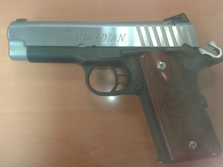 Hola, vendo STI GUARDIAN  en 9mm PB el arma esta en muy buenas condiciones y no tiene muchos tiros, se 01