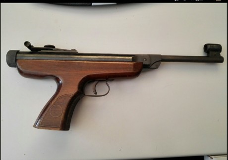 Buenas tardes,
Tengo una pistola del 22 y debido a la escasez de tiempo para ir al campo de tiro a entrenar, 30