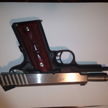 Hola, vendo STI GUARDIAN  en 9mm PB el arma esta en muy buenas condiciones y no tiene muchos tiros, se 32