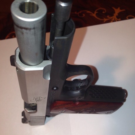 Hola, vendo STI GUARDIAN  en 9mm PB el arma esta en muy buenas condiciones y no tiene muchos tiros, se 31