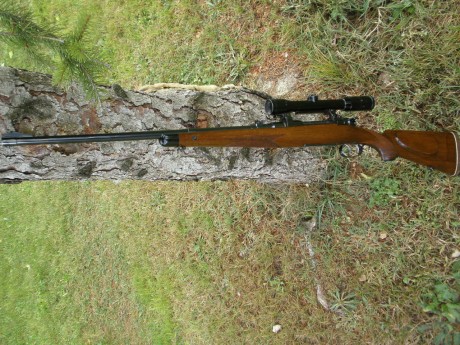 Pongo a la venta rifle Steyr Mannlicher Schoenauer modelo Gk en calibre 7x64 con monturas mannlicher y 10
