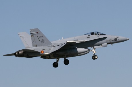 Pues eso, en este hilo pretendo deleitaros como amantes de los aviones de combate que sois muchos, con 22