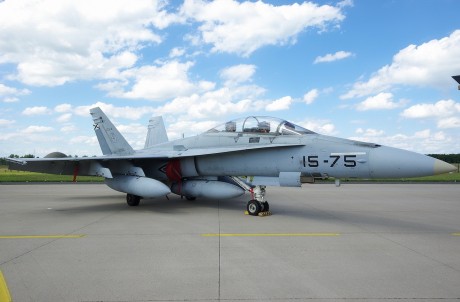 Pues eso, en este hilo pretendo deleitaros como amantes de los aviones de combate que sois muchos, con 61