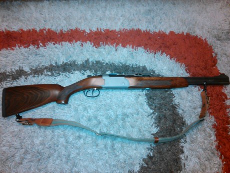 Hola me han ofrecido estos dos rifles express,la elección si solo hubiese opción de cocoger solo uno de 31